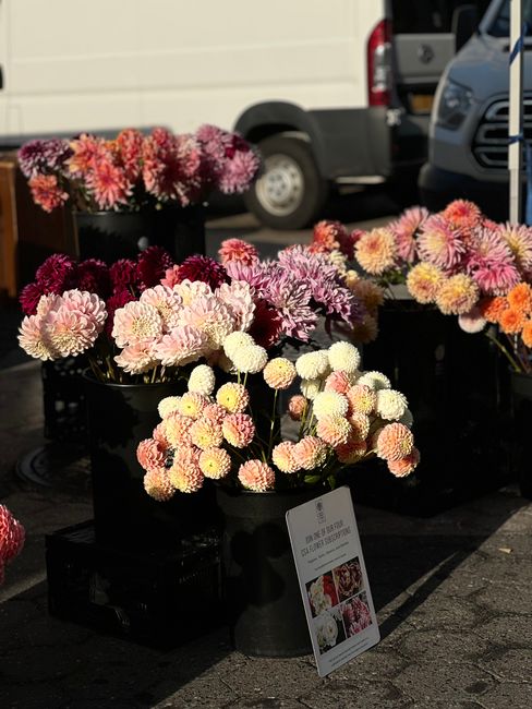 Array of fresh chrysanthemum floral arrangements displayed outdoors on black containers, featuring a variety of colours including soft pink, white, cream, deep burgundy, and orange. The flowers have f