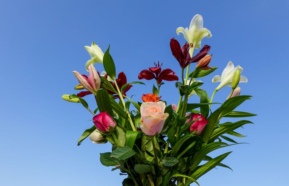 A vibrant floral arrangement featuring white lilies with open trumpet-shaped petals, deep red lilies with elongated petals, soft pink roses in bud and full bloom stages, and orange blossoms, all compl