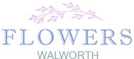 walworthflorist.co.uk